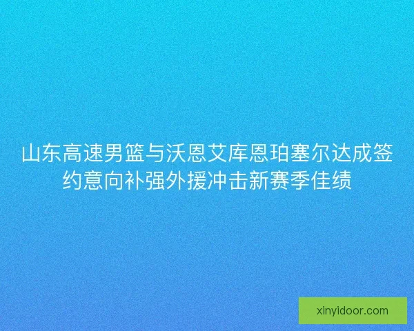 山东高速男篮与沃恩艾库恩珀塞尔达成签约意向补强外援冲击新赛季佳绩