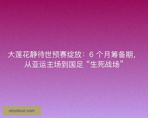 大莲花静待世预赛绽放：6 个月筹备期，从亚运主场到国足 “生死战场”